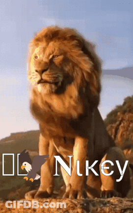 A Lion Is Sitting On A Rock With The Word Nikey On The Bottom GIF