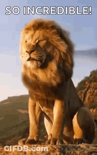 A Lion Is Sitting On Top Of A Dirt Hill With The Words `` So Incredible '' Written Above It . GIF