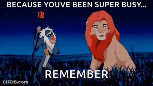 A Lion Is Standing Next To A Monkey In A Field . GIF