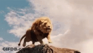 A Lion Is Standing On Top Of A Rock In The Sky . GIF