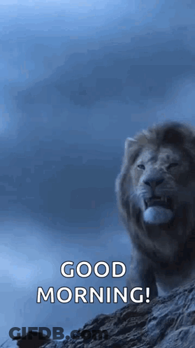 A Lion Is Standing On Top Of A Rocky Hill With The Words `` Good Morning '' Written Below It . GIF
