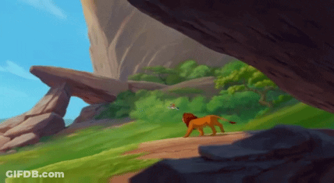 A Lion Is Walking Down A Dirt Path In The Jungle GIF