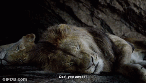 A Lion Laying Next To Another Lion With Dad You Awake Written Below It GIF