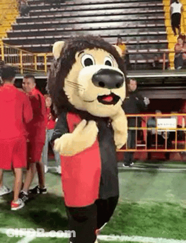 A Lion Mascot Is Standing On A Football Field In Front Of A Crowd . GIF