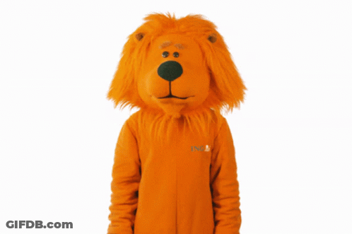 A Lion Mascot Is Wearing An Orange Shirt That Says Iowa On It GIF