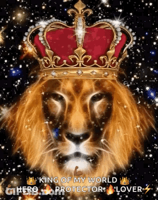 A Lion Wearing A Crown With The Words King Of My World Protector Lover Written On It GIF