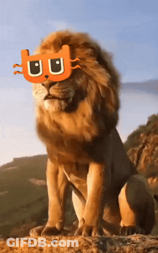 A Lion Wearing Sunglasses With The Letter U On Its Face GIF