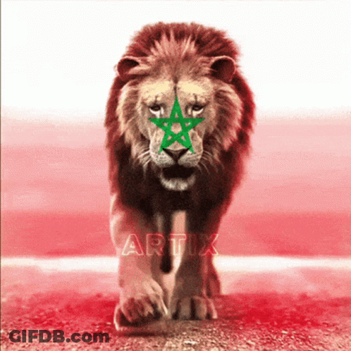 A Lion With A Green Star Painted On Its Face Is Walking In Front Of A Red Background That Says Artix GIF