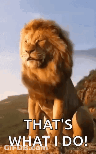 A Lion With The Words That 'S What I Do Written On It GIF