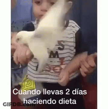 A Little Boy Is Holding A White Bird In His Arms . GIF
