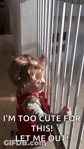 A Little Boy Is Looking Through A Fence And Says I 'M Too Cute For This Let Me Out ! GIF