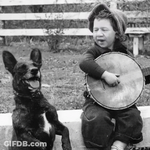 Boy Playing Banjo Next To Dog GIF