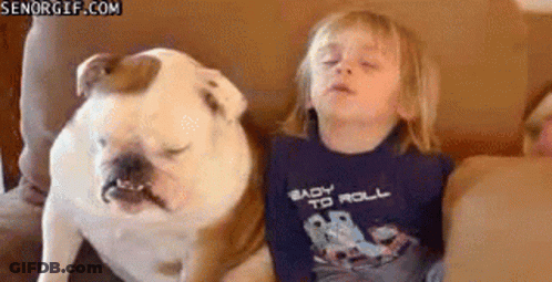 A Little Boy Is Sitting On A Couch With A Bulldog . GIF