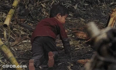 A Little Boy Is Sitting On The Ground In A Field Of Bamboo Sticks . GIF