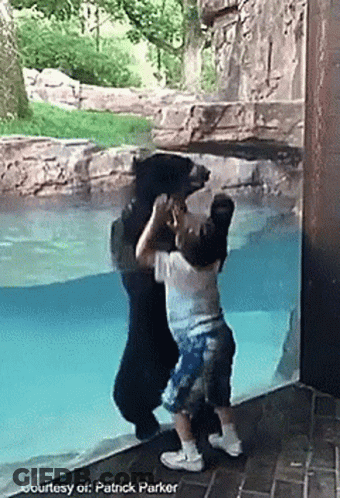 A Little Boy Is Standing Next To A Bear In A Swimming Pool .. GIF