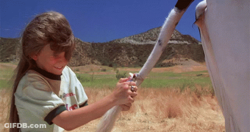A Little Girl Holding A Horse 'S Tail In A Field Wearing A Shirt That Says ' Coca Cola ' On It GIF