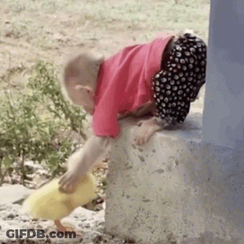 A Little Girl In A Pink Shirt Is Playing With A Duck GIF