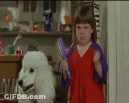 A Little Girl In A Red Dress Is Holding A Brush Next To A White Poodle GIF