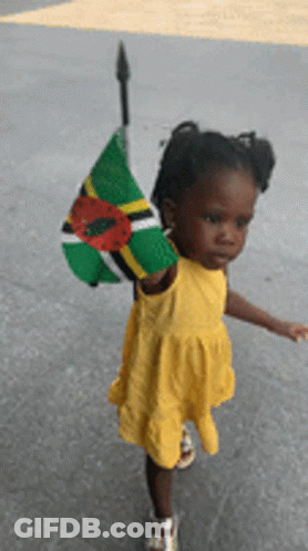 A Little Girl In A Yellow Dress Holds A Small Flag GIF