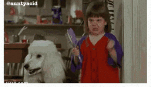 A Little Girl Is Holding A Brush Next To A Poodle GIF