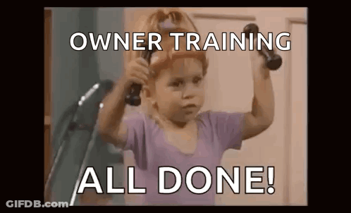 A Little Girl Is Holding A Pair Of Dumbbells Over Her Shoulder . GIF
