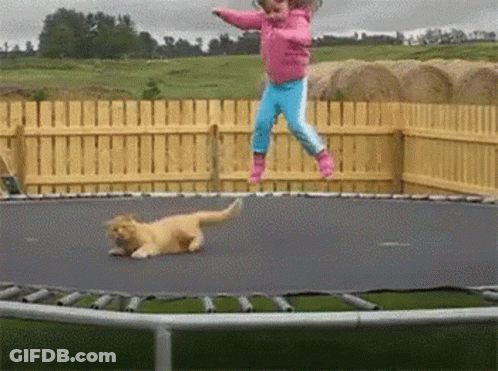 A Little Girl Is Jumping On A Trampoline With A Cat On The Ground GIF