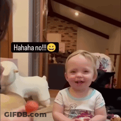 A Little Girl Is Laughing With A Sign That Says ' Hahaha No !!! ' GIF