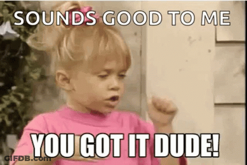 A Little Girl Is Making A Funny Face And Says `` Sounds Good To Me You Got It Dude ! '' GIF