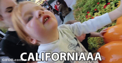 A Little Girl Is Playing With A Pumpkin And The Word Californiaaa Is On The Bottom Of The Picture . GIF