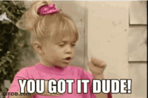 A Little Girl Is Saying You Got It Dude . GIF