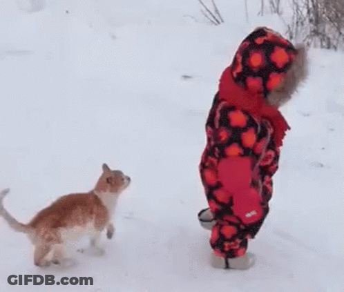 A Little Girl Is Standing In The Snow Next To A Cat . GIF
