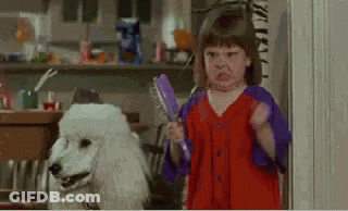 A Little Girl Is Standing Next To A White Poodle Holding A Brush In Her Hand . GIF