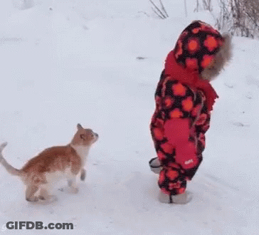 A Little Girl Is Walking In The Snow Next To A Cat GIF