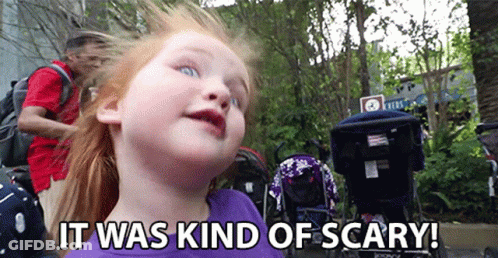 A Little Girl Says It Was Kind Of Scary In Front Of Stroller GIF