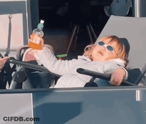 A Little Girl Wearing Sunglasses Is Sitting In A Stroller Holding A Bottle Of Water . GIF