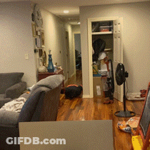 A Living Room With A Couch And A Fan In It GIF