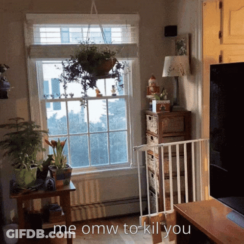 A Living Room With A Fence And A Window With The Words " Me Omw To Kill You " GIF