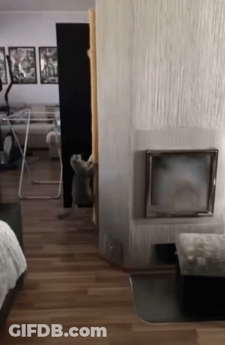 A Living Room With A Fireplace And A Tv GIF
