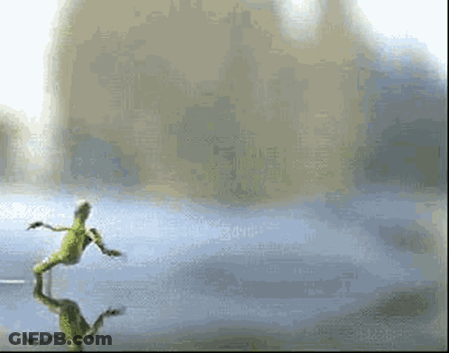 A Lizard Is Dancing On A Table With Its Reflection . GIF