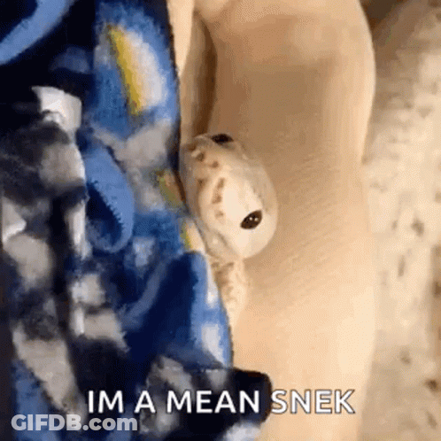 A Lizard Is Sitting On A Person 'S Arm With The Words `` Im A Mean Snek '' Written On It . GIF