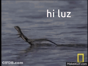 A Lizard Is Swimming In The Water With The Words Hi Luz Written On The Bottom GIF