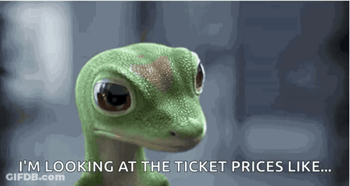 A Lizard Says I 'M Looking At The Ticket Prices Like ... GIF