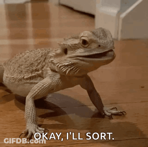A Lizard Says Okay I 'Ll Sort While Walking On The Floor GIF