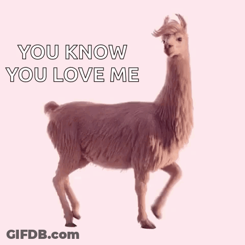 A Llama With The Words `` You Know You Love Me '' Written On It . GIF