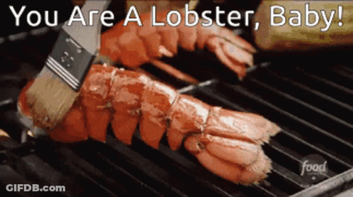 A Lobster Is Being Cooked On A Grill With The Words You Are A Lobster Baby GIF