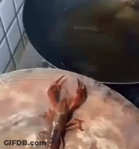 A Lobster Is Sitting On Top Of A Plate Of Food Next To A Pan Of Soup . GIF