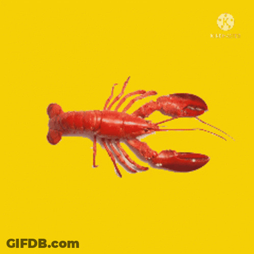 A Lobster On A Yellow Background That Says Lobster GIF