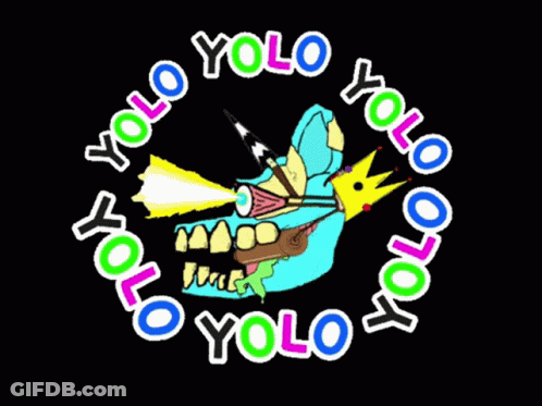 A Logo For A Company Called Yolo GIF