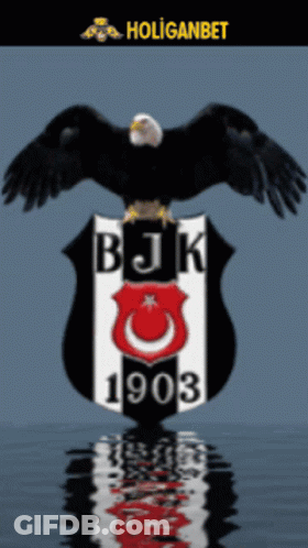 A Logo For Bjk 1903 With A Bald Eagle On Top GIF