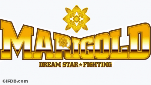 A Logo For Marigold Dream Star Fighting Has A Flower On It GIF